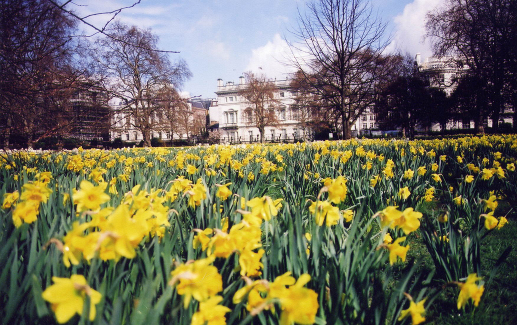 St.James Park