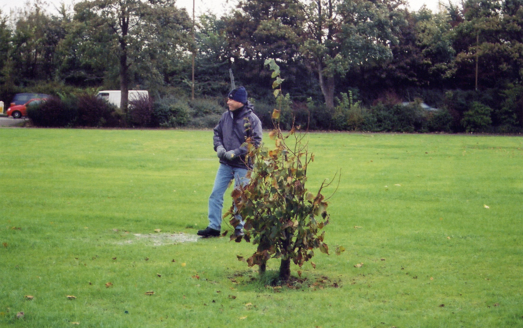 I Stepped in Scottish Dog Poop